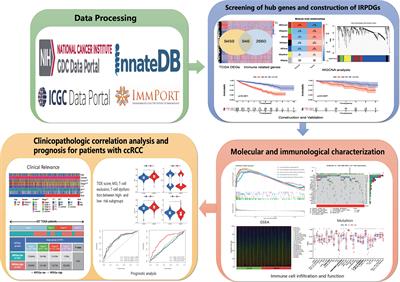 Immune-Associated Gene Signatures Serve as a Promising Biomarker of Immunotherapeutic Prognosis for Renal Clear Cell Carcinoma